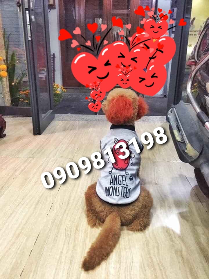 ♥️♥️♥️Cần Bán Nhanh Chỉ 5.9 Tỷ Nhà TB SHR 4 Tầng Đẹp Tiếp Khách Thiện Chí.♥️♥️♥️ - Ảnh chính